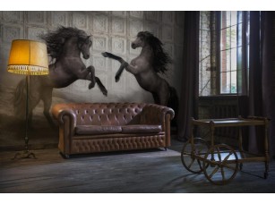 Фотообои Allusion Horses 19692