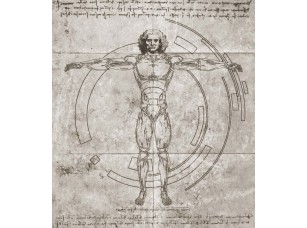 Фотообои Allusion Leonardo di ser Piero da Vinci 19695 - фото (2)