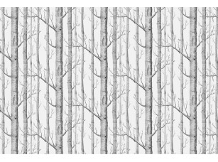 Фотообои Arbre Стволы графика лес 16895
