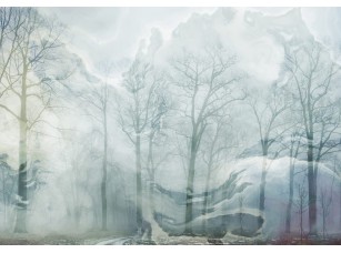 Фотообои Arbre Загадочный лес в тумане 18560