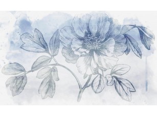 Фотообои Floreale Peony Moutan #2 18649