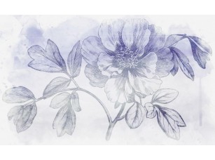 Фотообои Floreale Peony Moutan #3 18650