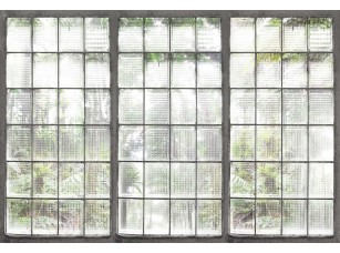 Фотообои Frame Greenhouse #1 интерьер 18223 / 18224 - фото (2)