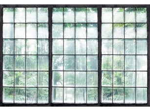 Фотообои Frame Greenhouse #2 интерьер 18225 / 18226 - фото (2)