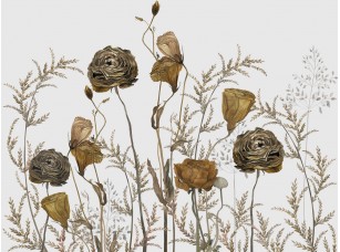 Фотообои Herbarium 14 - фото (2)
