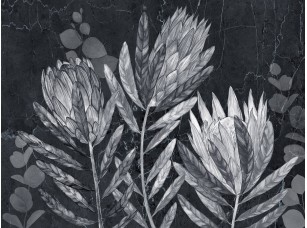 Фотообои Herbarium 19 - фото (2)