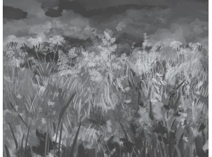 Фотообои Алтай 26 / Altay 26 31415 - фото (1)