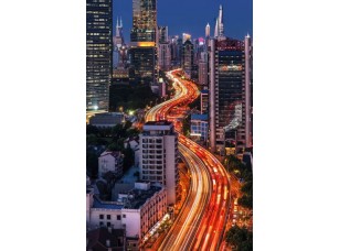 Фотообои Urban Shanghai city 18501