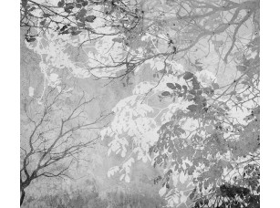 Фотообои Vetve 16 Листья и ветки 19487 - фото (2)