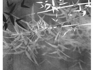 Фотообои Vetve 23 Ветки бамбука 19478 - фото (2)