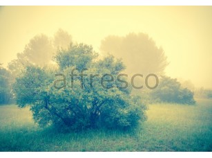 Фреска Туман, арт. ID13458 - фото (1)