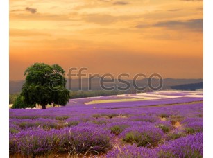 Фреска Фиолетовые полевые цветы, арт. ID13438 - фото (1)