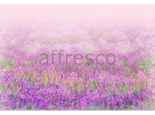 Фреска Фиолетовые полевые цветы, арт. 9716 - фото (1)