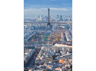 Фреска Парижская панорама, арт. ID11293 - фото (1)