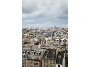 Фреска Парижские крыши домов, арт. ID11247 - фото (1)