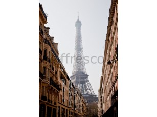 Фреска Дома в Париже, арт. ID12406 - фото (1)