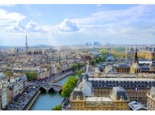Фреска Париж с высоты, арт. ID11245 - фото (1)