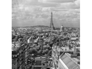 Фреска Черно белый Париж, арт. ID11281 - фото (1)