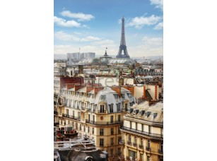 Фреска Крыши домов Парижа, арт. ID11257 - фото (1)