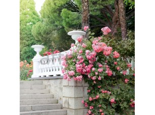 Фреска Лестница в саду, арт. ID13401 - фото (1)
