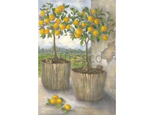 Фреска Лимонные деревья на окне, арт. 4464 - фото (1)