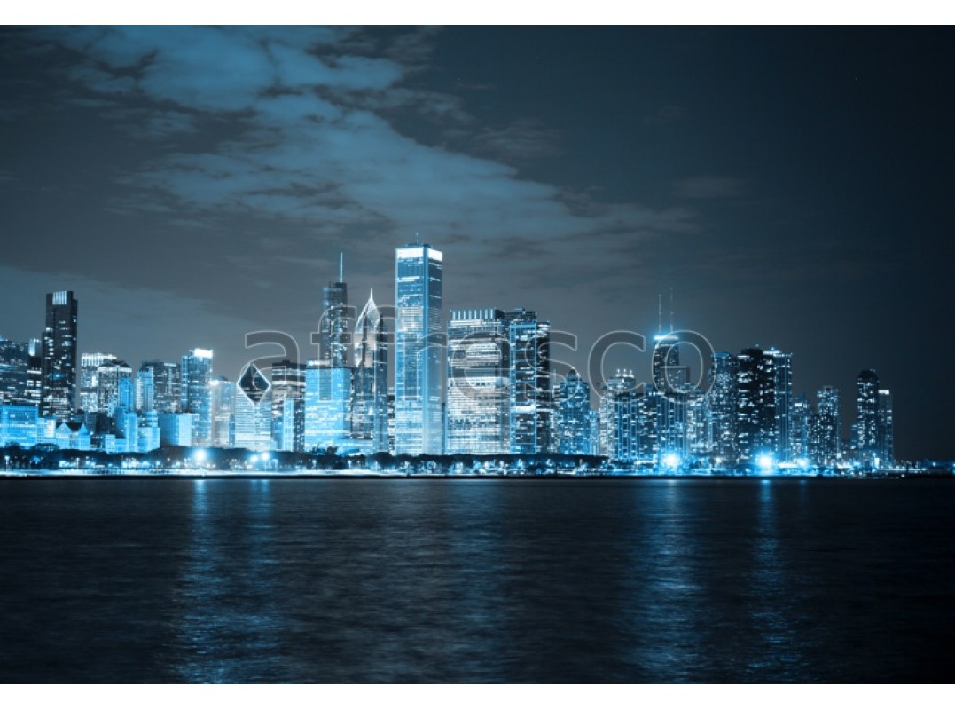 Фреска Панорама ночного города, арт. ID11598