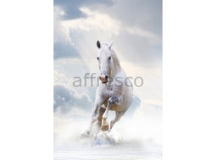 Фреска Животные, белая лошадка | арт. ID10769 - фото (1)