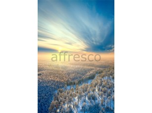 Фреска Зимний лес с высоты, арт. ID12569 - фото (1)