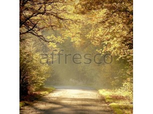 Фреска Солнечная дорога в лесу, арт. ID12478 - фото (1)