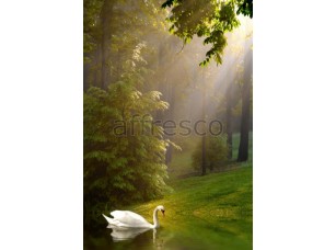 Фреска Лебедь на лесном пруду, арт. ID12339 - фото (1)