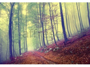 Фреска Осень в лесу, арт. ID13477 - фото (1)