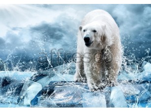 Фреска Белый медведь, арт. ID13537 - фото (1)