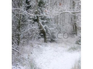 Фреска Снежные ветки, арт. ID13535 - фото (1)