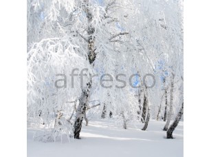 Фреска Деревья в снегу, арт. ID13521 - фото (1)