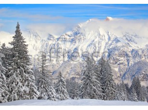 Фреска Зимний пейзаж, арт. ID13534 - фото (1)