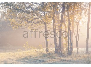 Фреска Осенняя опушка, арт. ID12489 - фото (1)