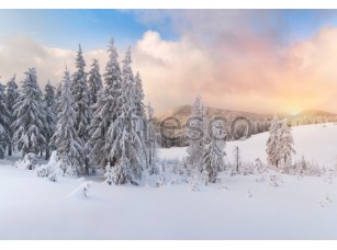 Фреска Снежные ели, арт. ID12381 - фото (1)