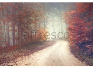 Фреска Дорога в осеннем лесу, арт. ID13478 - фото (1)