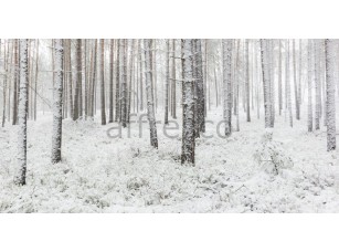 Фреска Стволы в снегу, арт. ID13524 - фото (1)