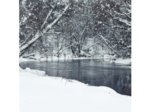 Фреска Зимняя речка, арт. ID13523 - фото (1)