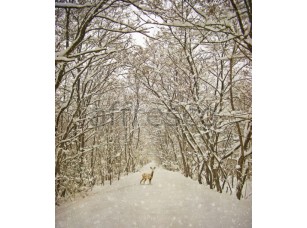 Фреска Олень на снежной дороге, арт. ID13532 - фото (1)