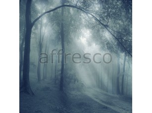 Фреска Лучи солнца в лесу, арт. ID10887 - фото (1)