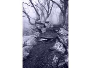 Фреска Тропинка в горном лесу, арт. ID13472 - фото (1)