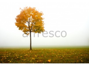 Фреска Осеннее дерево, арт. ID12499 - фото (1)