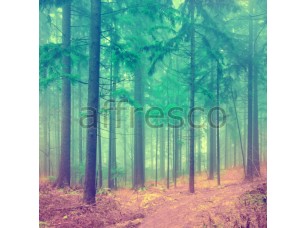 Фреска Солнечный сосновый лес, арт. ID13479 - фото (1)