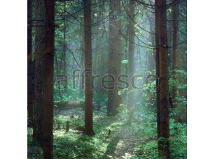 Фреска Луч солнце в лесу, арт. ID13473 - фото (1)