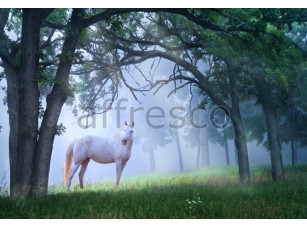 Фреска Лошадь в лесу, арт. ID10869 - фото (1)