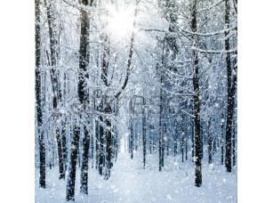 Фреска Зимний лес, арт. ID13474 - фото (1)