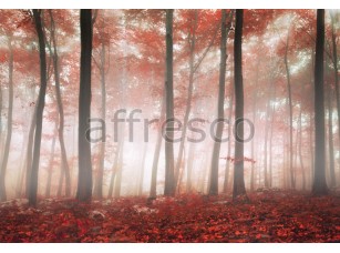 Фреска Туман в лесу, арт. ID13480 - фото (1)
