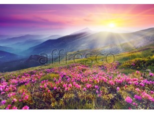 Фреска Цветущая горная долина, арт. ID12028 - фото (1)